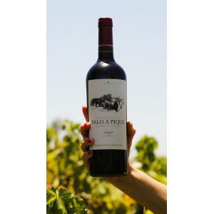 Palo a Pique Tannat